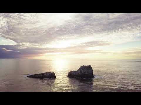 Alan Watts | The Art Of Yoga