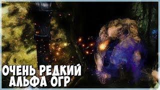 Skyrim ОЧЕНЬ РЕДКИЙ АЛЬФА ОГР (Тёмные Души)
