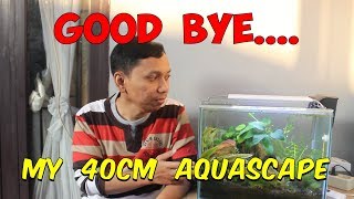 Update Terakhir Tank 40cm Mini Aquascape Natural
