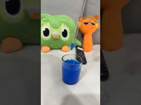 Duo Owl Funny Viral Chaos IRL 😂 Totally Unexpected Scenes