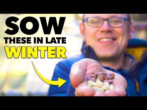 You Must Sow These Seeds in October