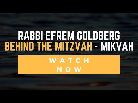 Behind the Mikvah: An Intimate Look at the Spa for the Soul