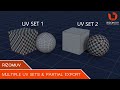 RizomUV: Multiple UV Sets & Partial Export