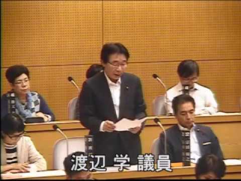 2019年第3回川崎市議会での質問（動画）