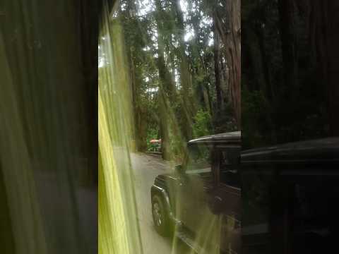 Beautiful Nature just Looking Like a Wow#adventure #travelling#viral#waterfalls