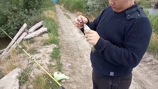 Рыбалка в запорожской области каховское водохранилище