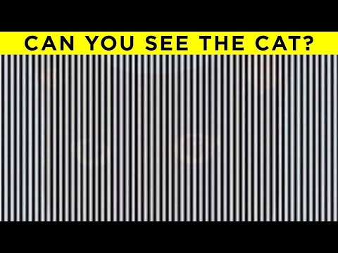 How Good Are Your Eyes?