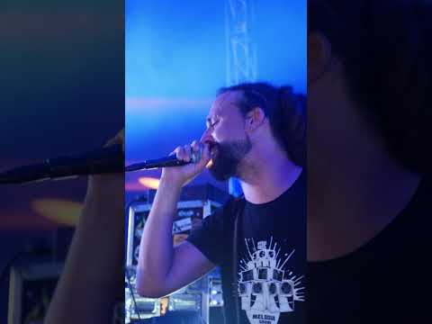 No Logo 2024 - Rootikal Vibes ft Ifi & Dusty Wata.