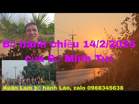 Bộ Hành Buổi Chiều Của Sư Minh Tuệ — 14/2/2025