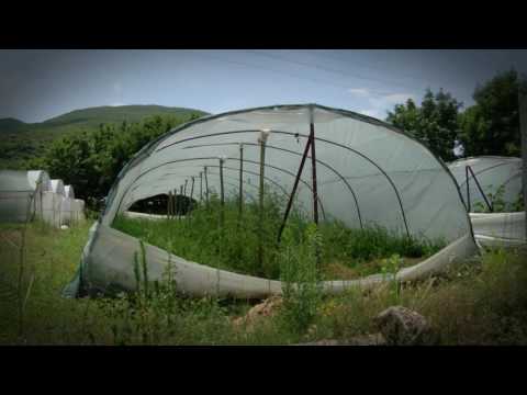 Покров: Порта за излез од пеколот