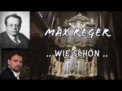 MAX REGER - Wie schön leucht't uns der Morgenstern - Evan Bogerd