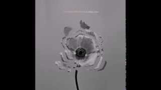 The Naked and Famous - The Mess (sub español e ingles)