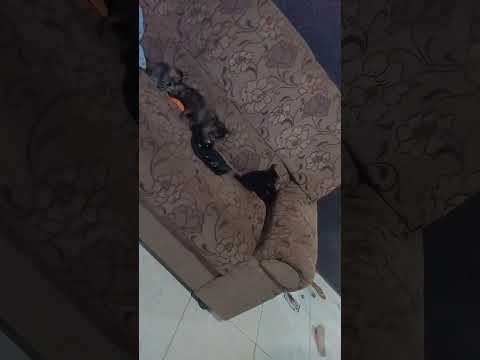 30 de agosto de 2025