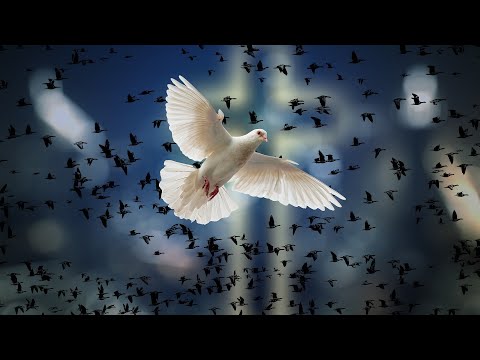 17.03.2024 – Shalom - im Frieden leben