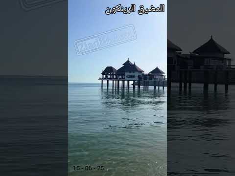 المضيق  الرينكون  M'DIEQ