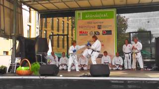 preview picture of video 'Åhus Karate Club's show'