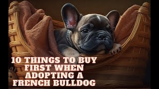 10 things to buy first when adopting a French Bulldog