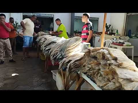 Feira livre de bom Jesus da Lapa/muita fartura+de volta pra casa almoço do dia 