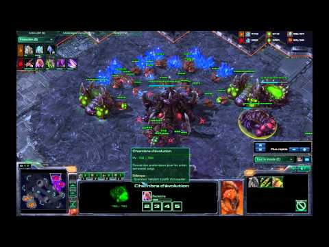 ZvP GLSnute vs Adelscott