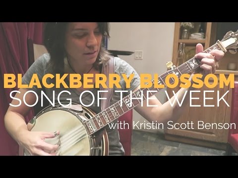 Blackberry Blossom feat. Kristin Scott Benson - Banjo Lesson