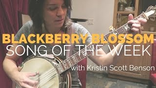 Blackberry Blossom feat. Kristin Scott Benson  [Song of the Week SPECIAL!]