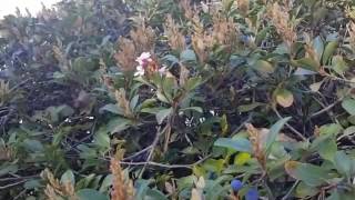 Why You Should Review Your Garden in Spring