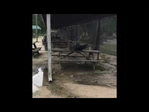 Nba Gang Say They Want Chief Keef & Tadoe To Pull Up