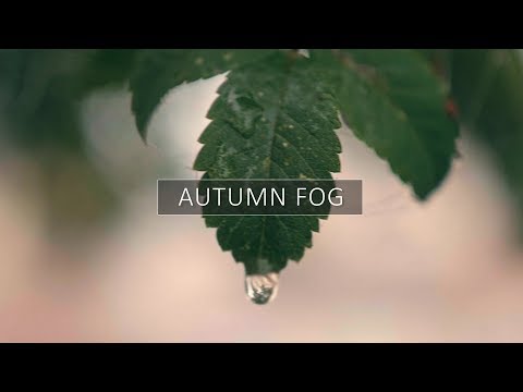 Autumn Fog | Cinematic Short by Nathan Jarman