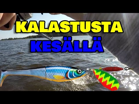 Kalastusta Kesällä 2020