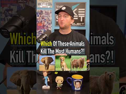 Which Of These Animals Kill The Most Humans?! #shorts #animals #facts #dog #pets