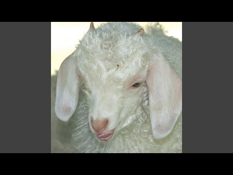 Video thumbnail for Fucked First