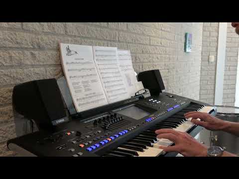 Vaya Con Dios - easy keyboardcover on Yamaha Genos by PSR Beginner of this worldwide popular song.