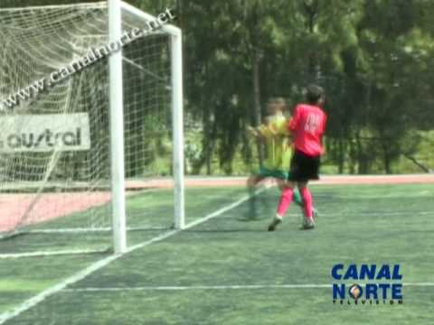 Fútbol Base Cadete: U. D. Guía - C. D. Roque Amagro