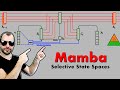 Mamba: Linear-Time Sequence Modeling with Selective State Spaces (Paper Explained)
