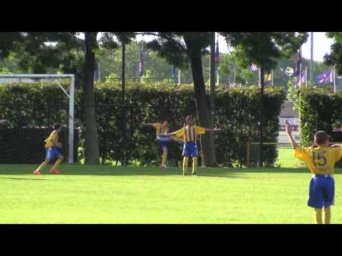 Haaglandia E-Top - DHC D4