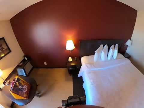 What Does $92 Dollars Get You | At A Red Roof Plus ➕️ | You'll Be Surprised