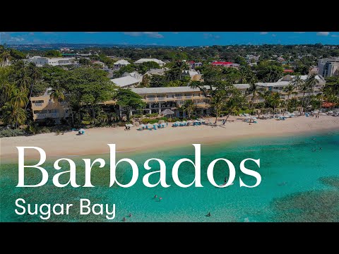 Videos del Sugar Bay Barbados 4★ en Bridgetown, BarbadosVer MásVerPrecios18CerrarConsulta por Whatsapp 🇦🇷BookingTripadvisorExpediaAgodaTravelocityOrbitzPricelineTripSkyscannerDespegarKayakHotelesBestdayDestiniaTrivagoLastminuteTuiWotif