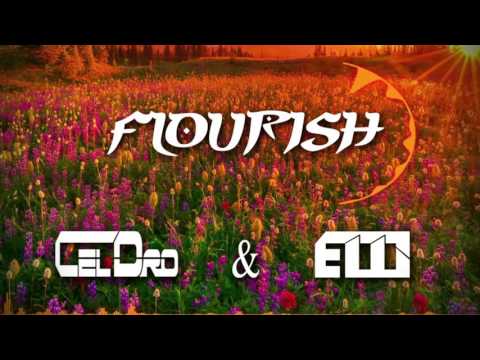 CelDro & Emil Wennerholm - Flourish