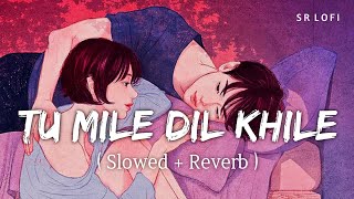 Tu Mile Dil Khile (Slowed + Reverb)  Asees Kaur St