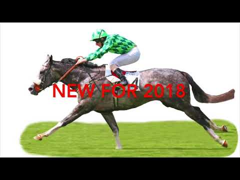 ARQANA SPOT DECEMBRE 2017