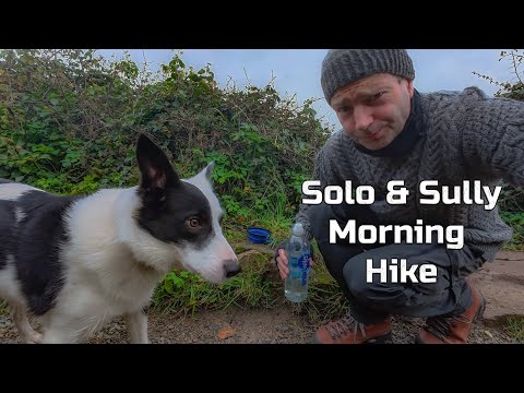 Solo & Sully Baily Lighthouse Hike 26 Nov 25 On a chilly Morning