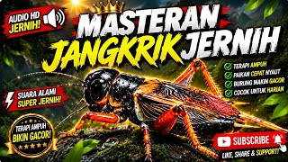 Download lagu 🔥 MASTERAN JANGKRIK JERNIH PALING AMPUH | Audio HD Super Jernih Untuk Burung Gacor 🔥 mp3 Download lagu 🔥 MASTERAN JANGKRIK JERNIH PALING AMPUH | Audio HD Super Jernih Untuk Burung Gacor 🔥 mp3