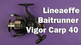 Lineaeffe Baitrunner Vigor Carp 40 - відео 1