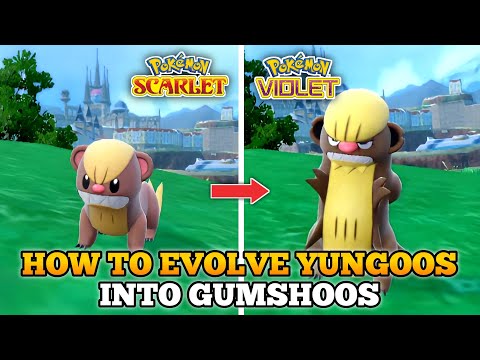 How To Evolve Yungoos Into Gumshoos In Pokemon Scarlet and Violet