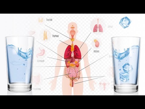 夏天就想喝冰水！原來喝冰水會讓你... (Hot vs Cold: Benefits of Drinking Hot Water vs Cold Water)