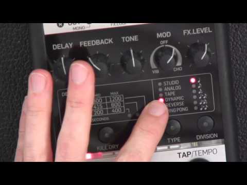 Guitar Effects Survival Guide - #5 Digital Delay Overview - Guitar Lesson - Jeff McErlain