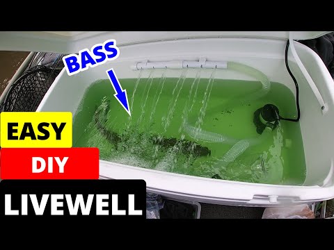 EASIEST DIY LIVEWELL For Jon Boat {Unboxing, Install, On  The Water Demo, Review}