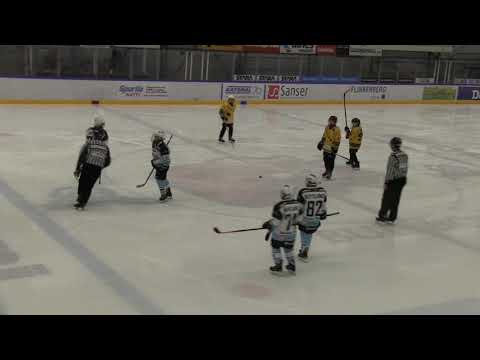 Fortuna Musta - Pelicans Turkoosi 2