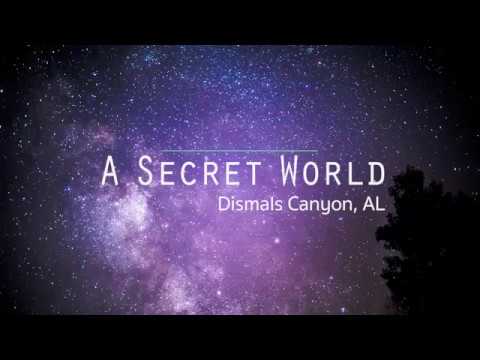 A Secret World: Alabama's Dismals Canyon