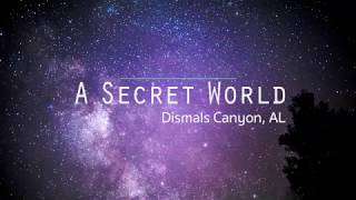 A Secret World: Alabama's Dismals Canyon